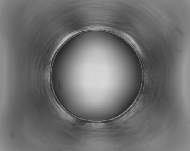 X0000112461244200908311323