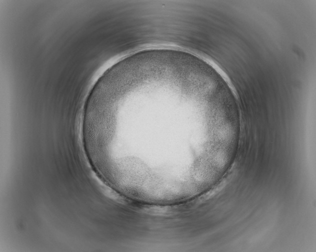 X0000112461245200908311323