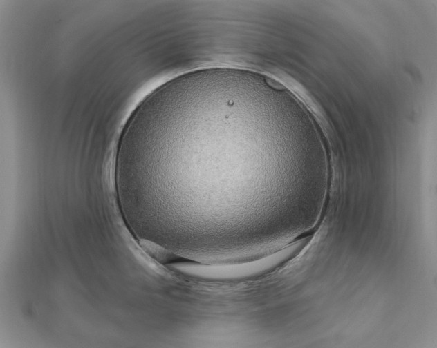 X0000112461246200908311323