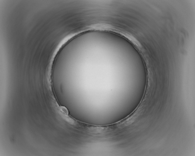 X0000112461248200908311323