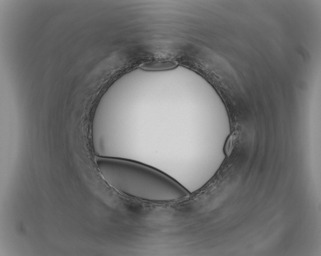 X0000112461249200908311322