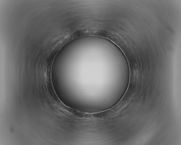 X0000112461250200908311322