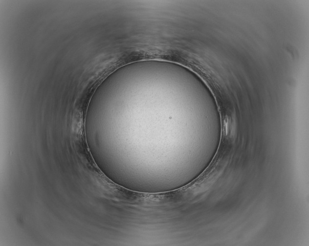 X0000112461251200908311322