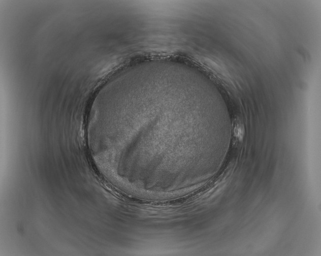 X0000112461252200908311322