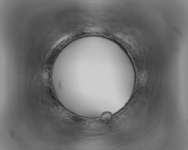 X0000112461254200908311322