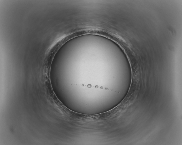 X0000112461255200908311322