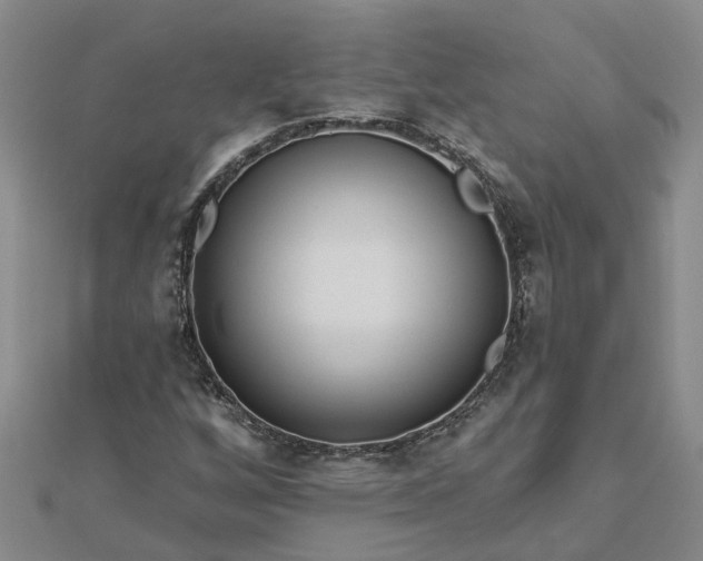 X0000112461256200908311322