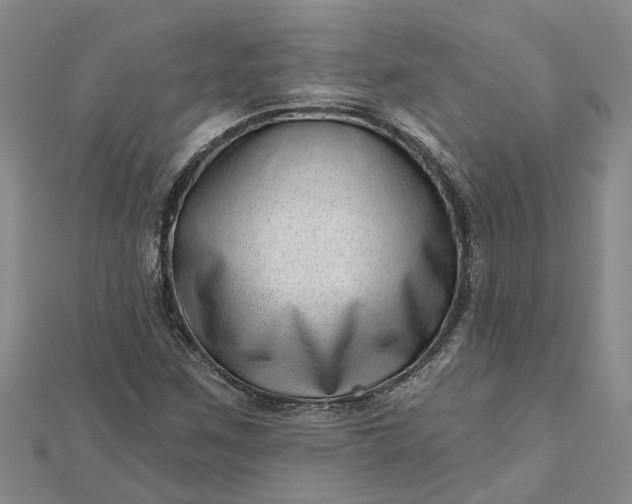 X0000112461259200908311322