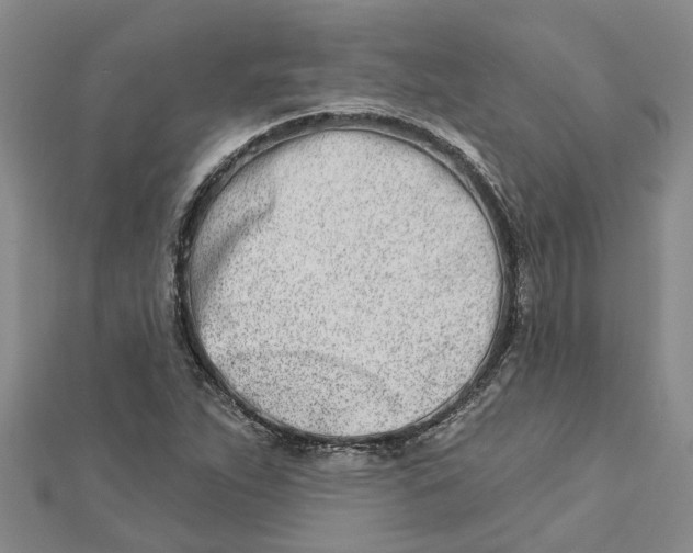 X0000112461263200908311322