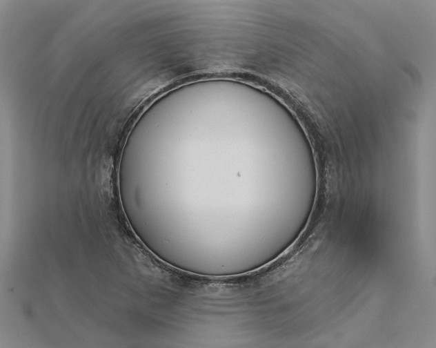 X0000112461265200908311322