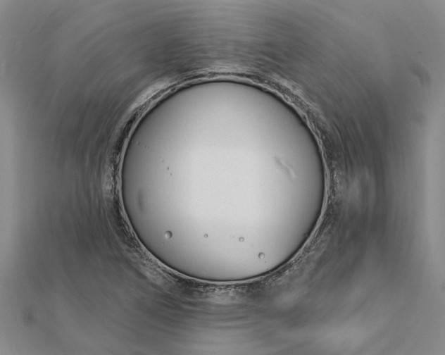 X0000112461266200908311322