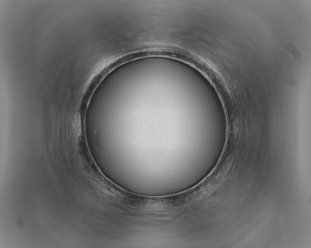 X0000112461267200908311322