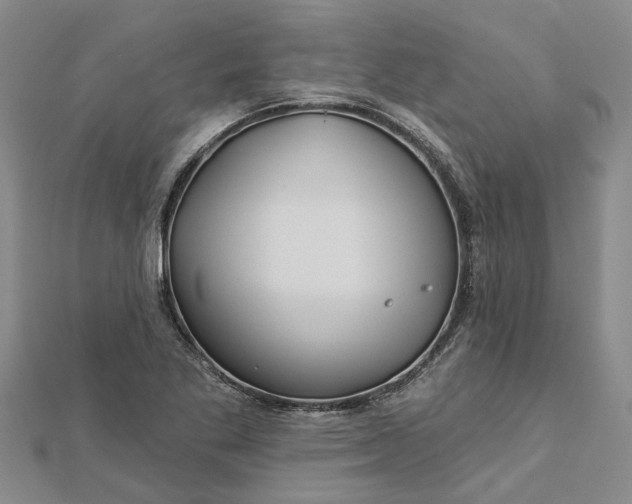 X0000112461269200908311322