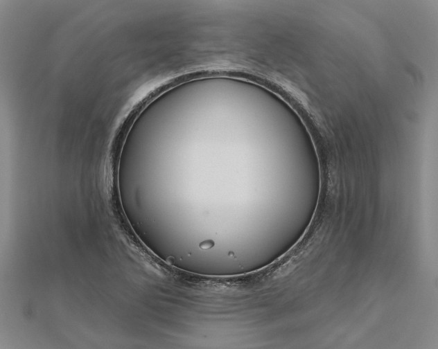 X0000112461270200908311322