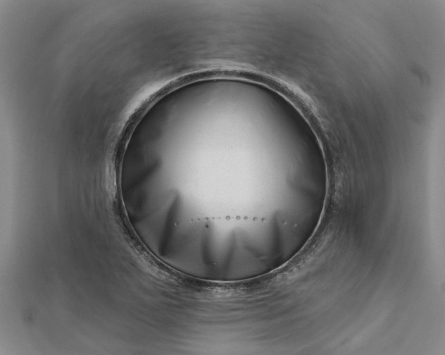 X0000112461271200908311322