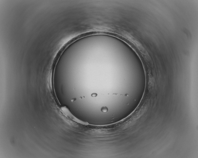 X0000112461272200908311322