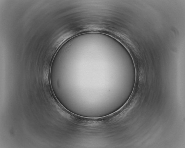 X0000112461273200908311322