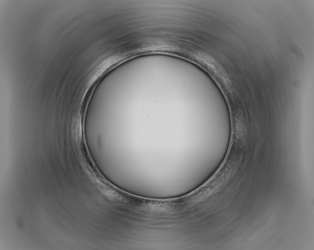 X0000112461274200908311322