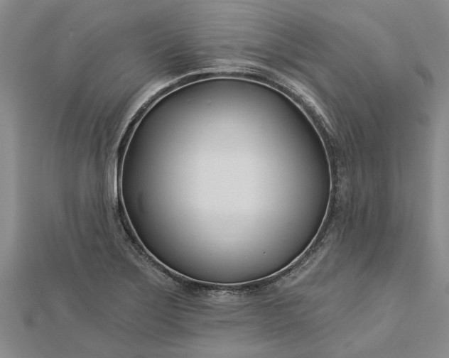 X0000112461275200908311322