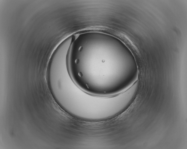 X0000112461276200908311322