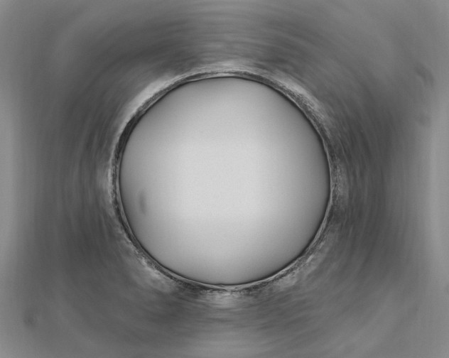 X0000112461278200908311322