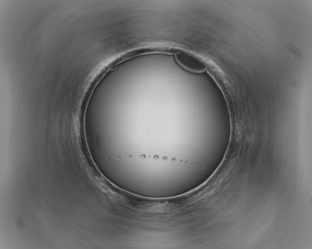 X0000112461279200908311322