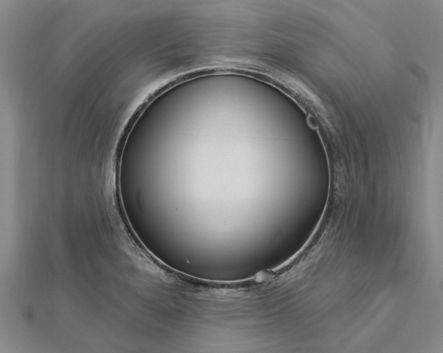 X0000112461280200908311322