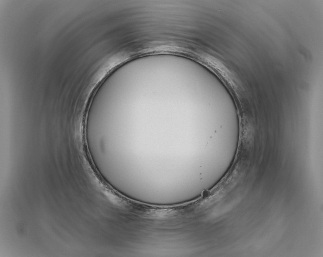 X0000112461282200908311322