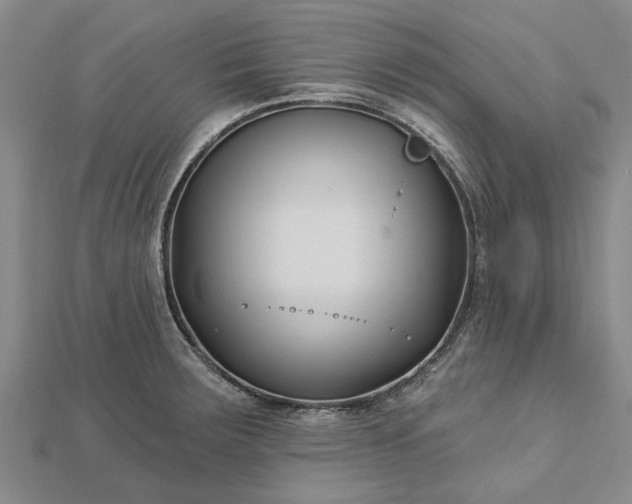 X0000112461283200908311322