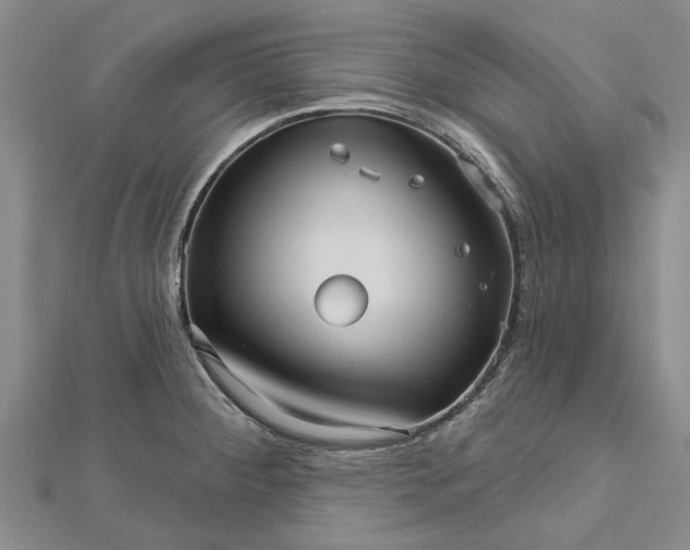 X0000112461284200908311322