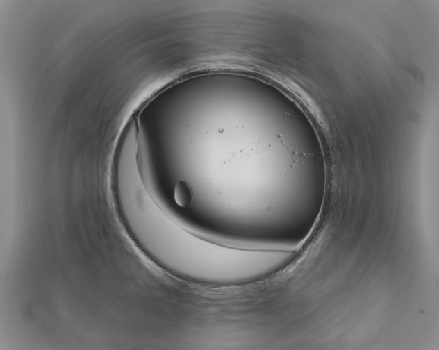 X0000112461285200908311322