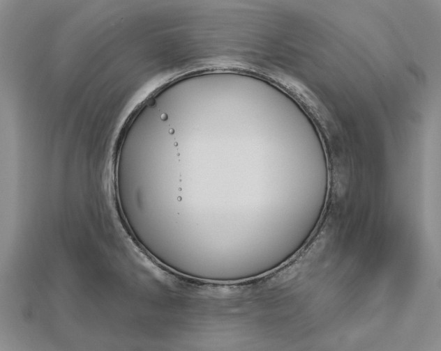 X0000112461286200908311322