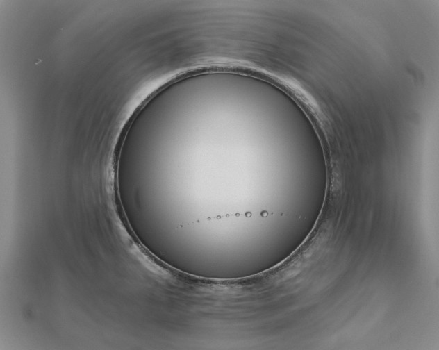 X0000112461287200908311322