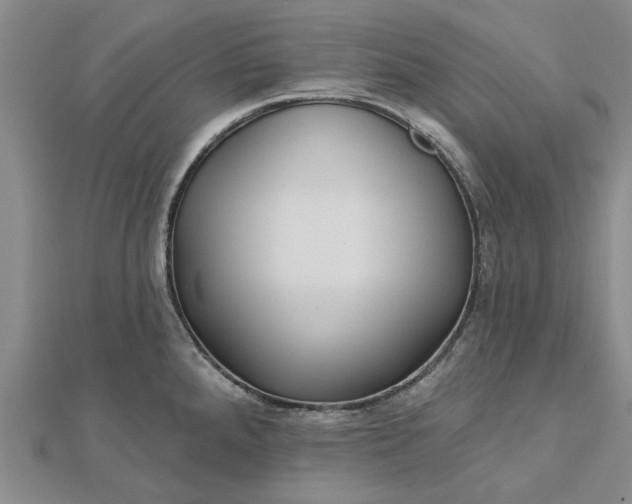 X0000112461288200908311322