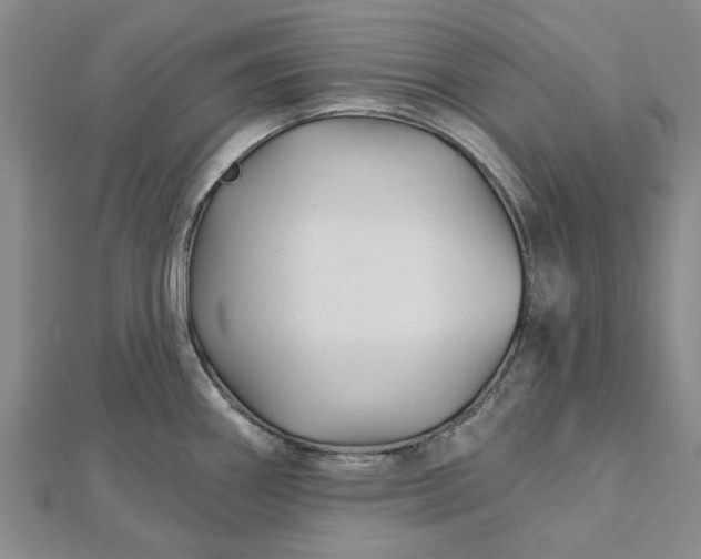 X0000112461290200908311322