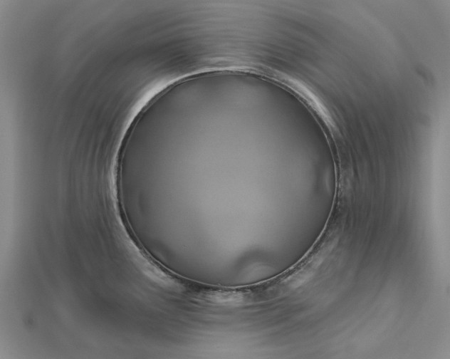 X0000112461291200908311322