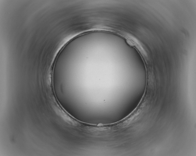 X0000112461292200908311322