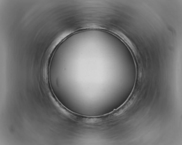 X0000112461293200908311322