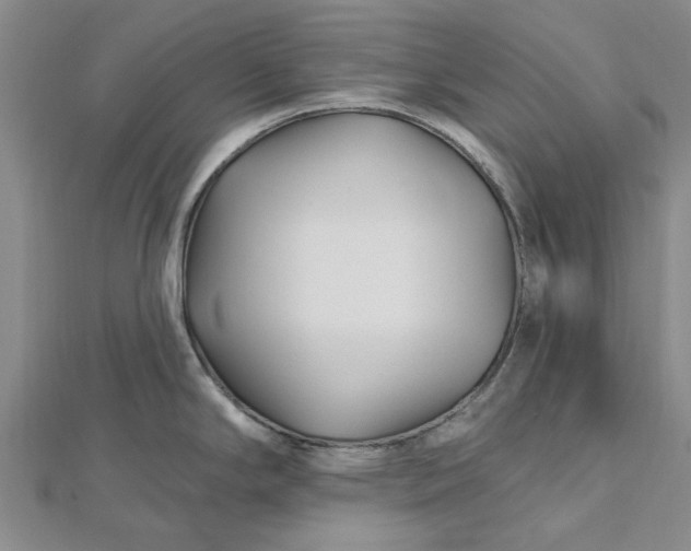 X0000112461294200908311322