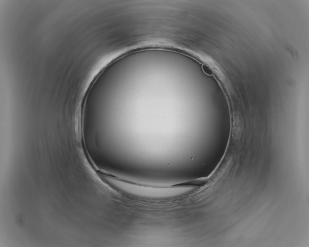 X0000112461295200908311322