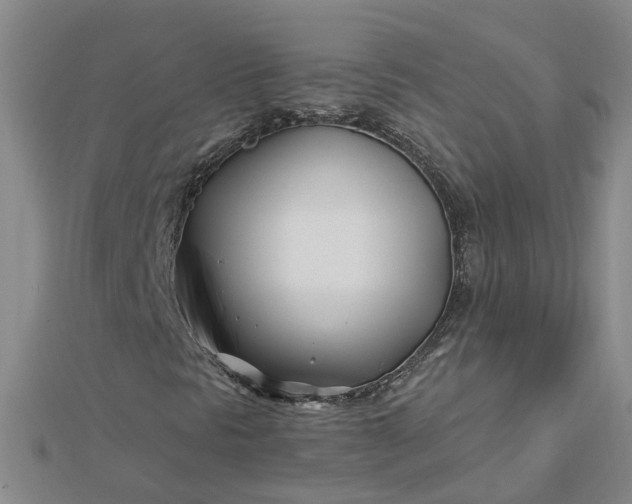 X0000112461297200908311321