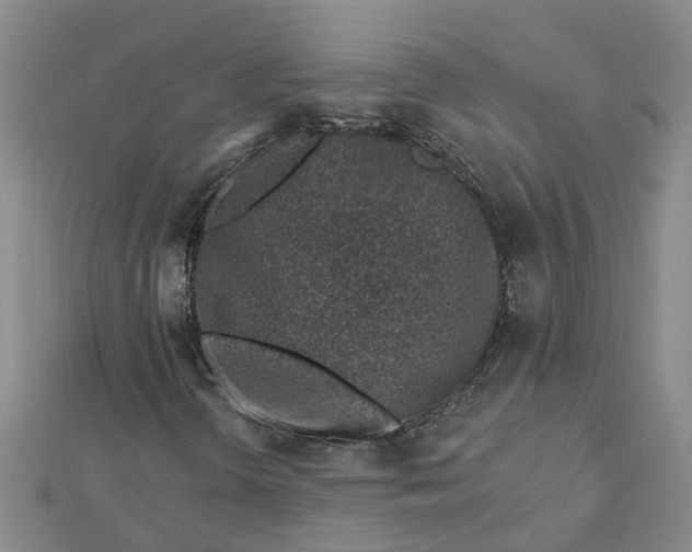 X0000112461298200908311321