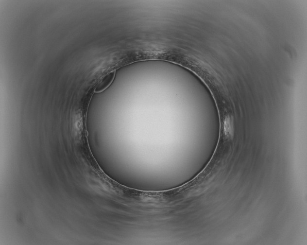 X0000112461299200908311321