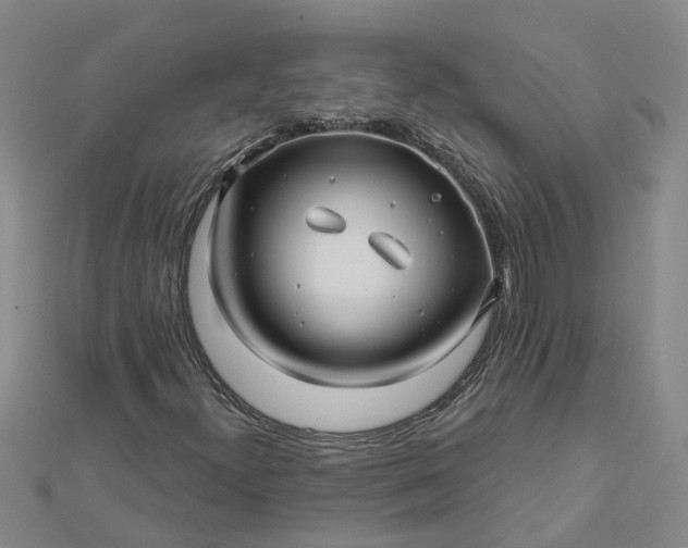 X0000112461300200908311321