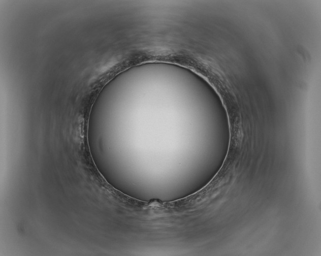 X0000112461301200908311321