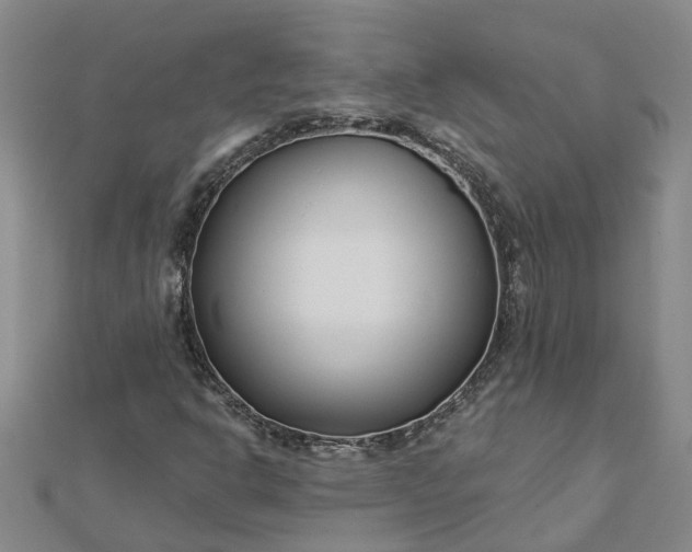 X0000112461302200908311321