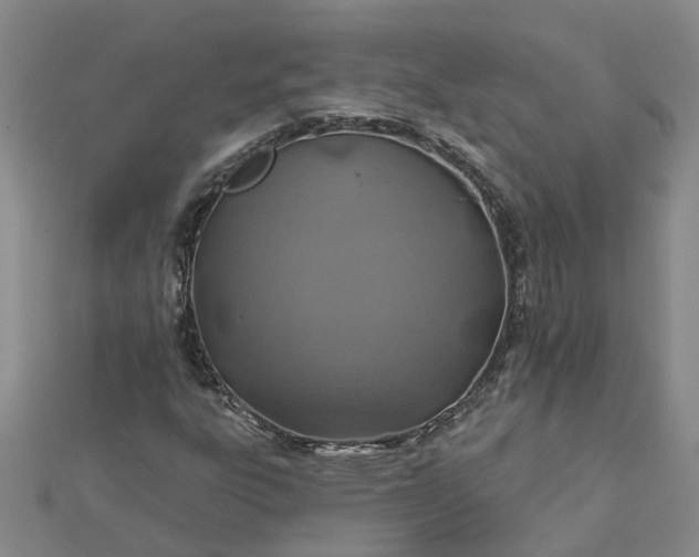 X0000112461303200908311321