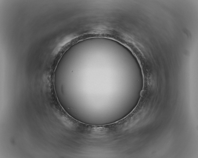 X0000112461304200908311321