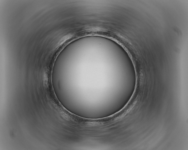 X0000112461305200908311321