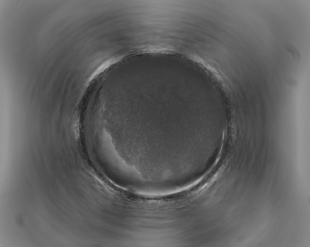 X0000112461306200908311321